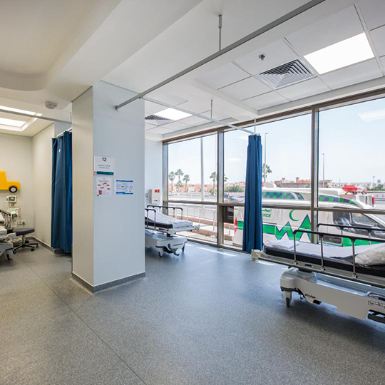 Project Gallery Image