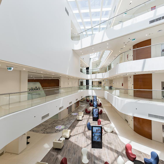 Project Gallery Image