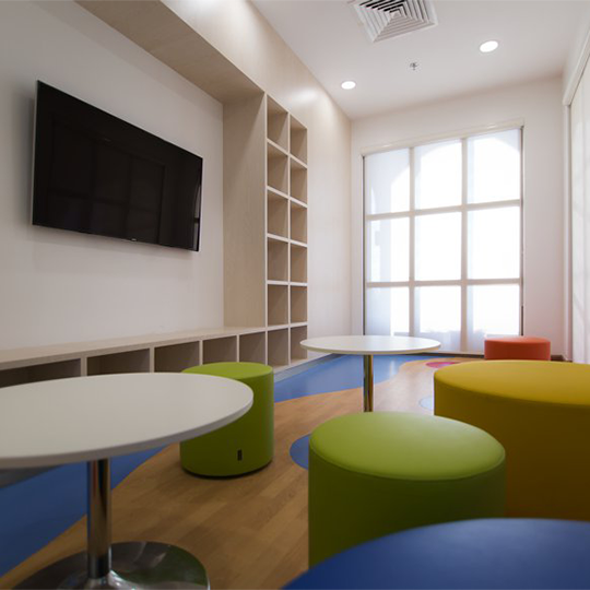 Project Gallery Image