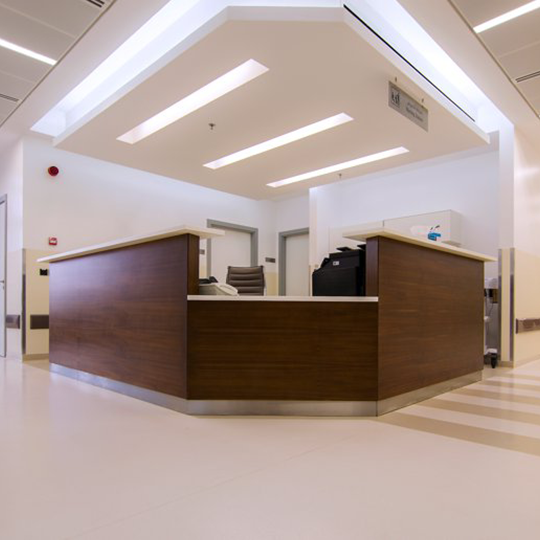 Project Gallery Image