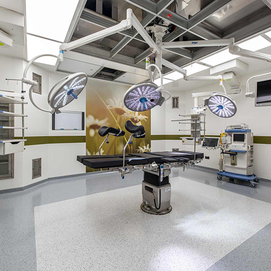 Project Gallery Image