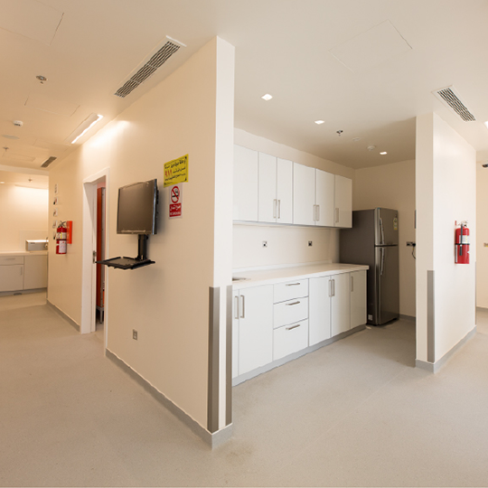 Project Gallery Image