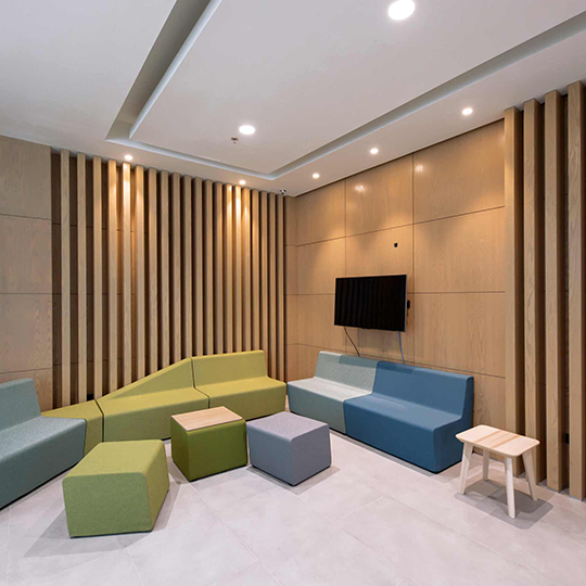 Project Gallery Image