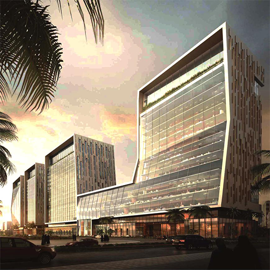 Project Gallery Image