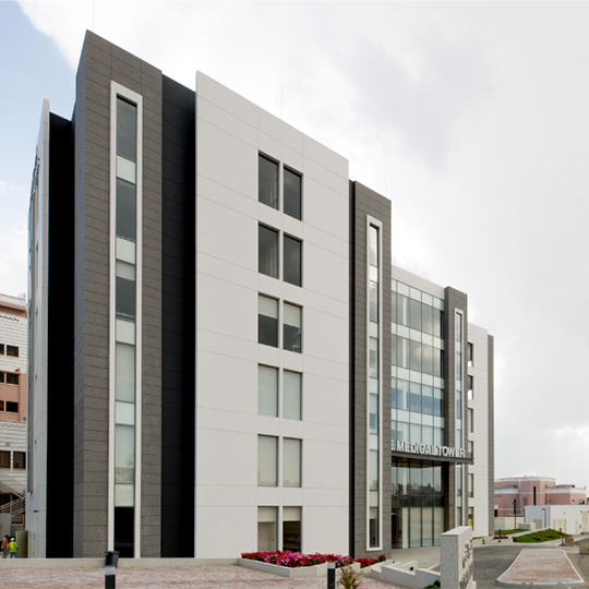 Project Gallery Image