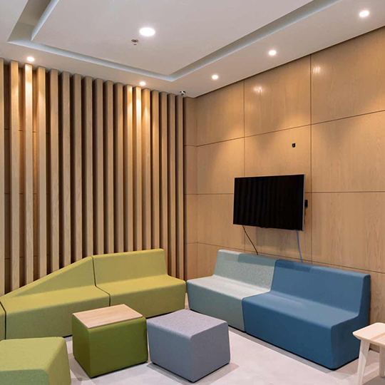 Project Gallery Image