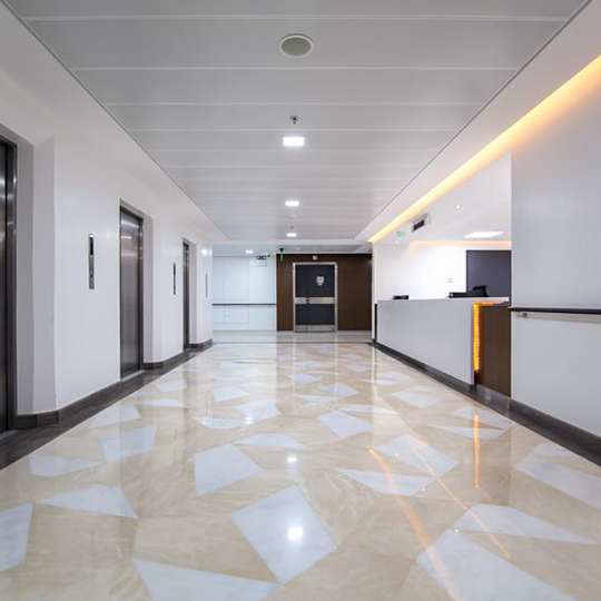 Project Gallery Image