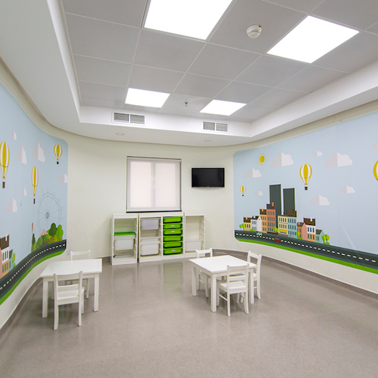 Project Gallery Image