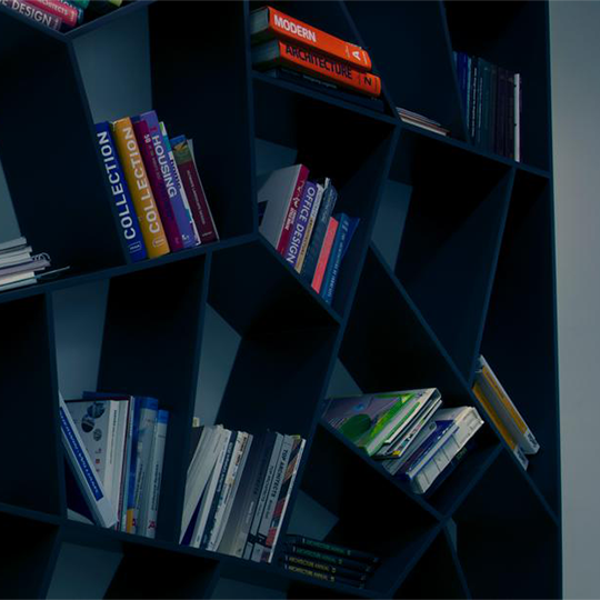 Project Gallery Image