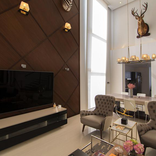 Project Gallery Image