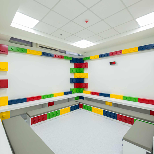 Project Gallery Image