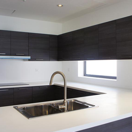 Project Gallery Image