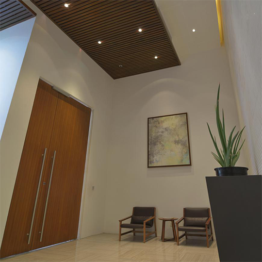 Project Gallery Image