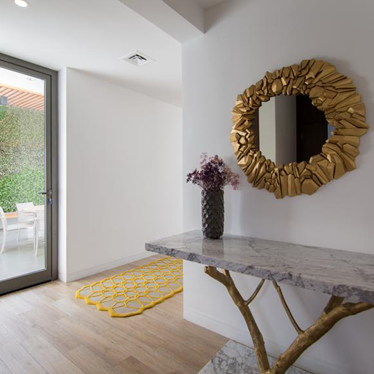 Project Gallery Image