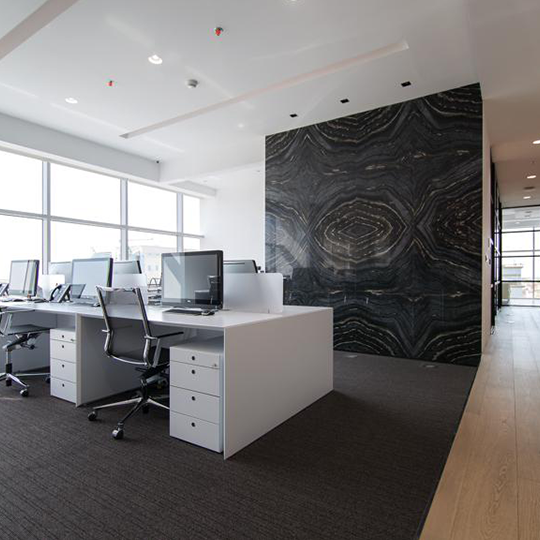 Project Gallery Image