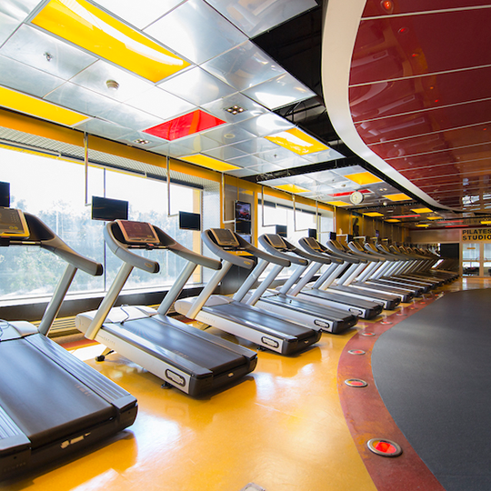 Project Gallery Image