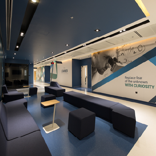 Project Gallery Image