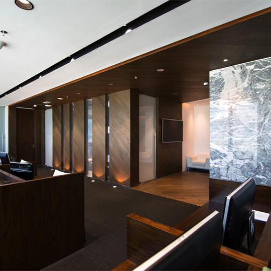 Project Gallery Image