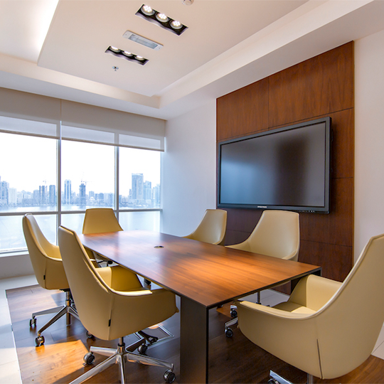 Project Gallery Image