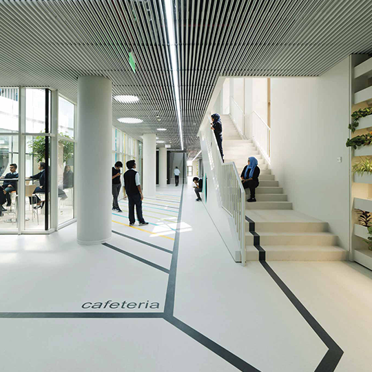 Project Gallery Image