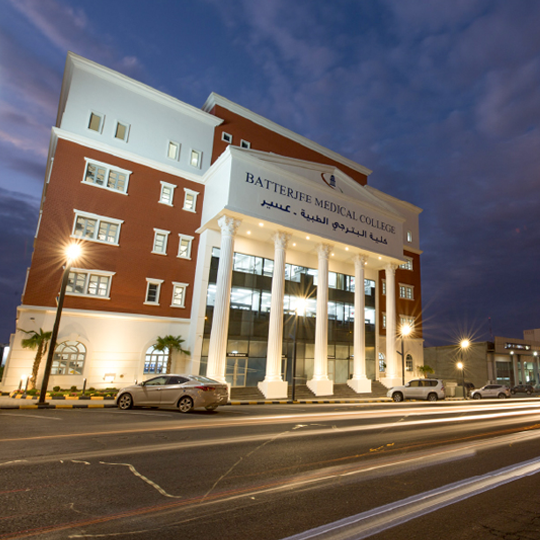 Project Gallery Image