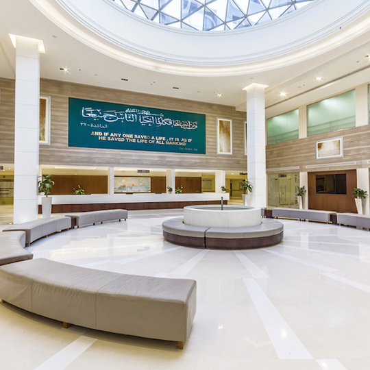 Project Gallery Image