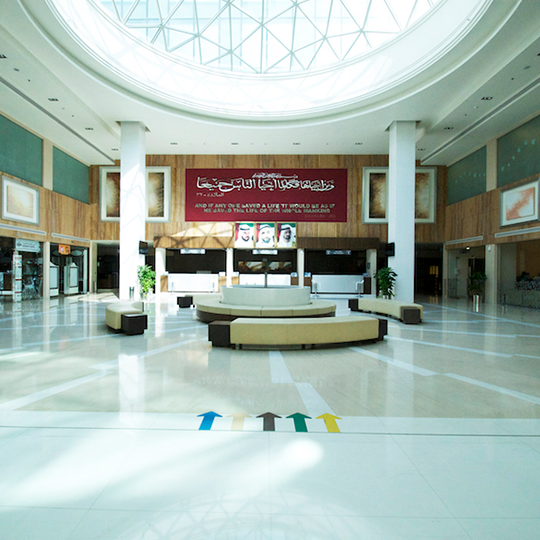 Project Gallery Image