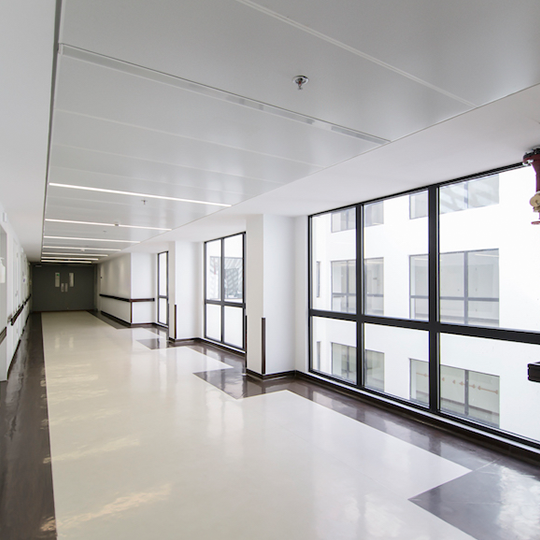 Project Gallery Image