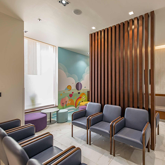 Project Gallery Image