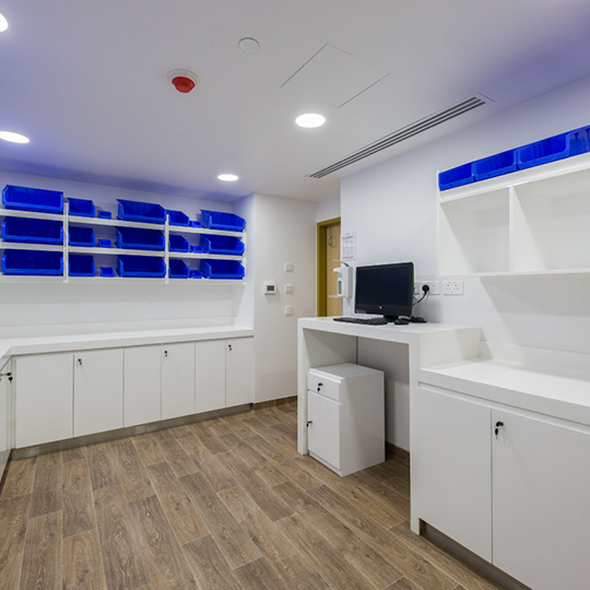 Project Gallery Image