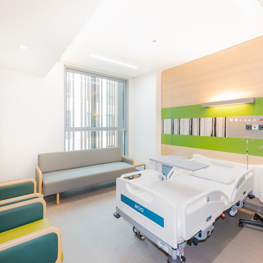 Project Gallery Image