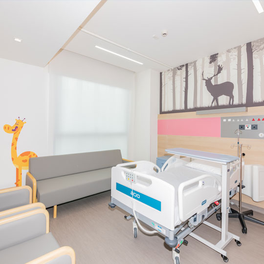 Project Gallery Image