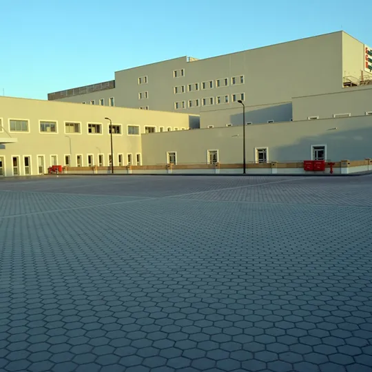 Project Gallery Image