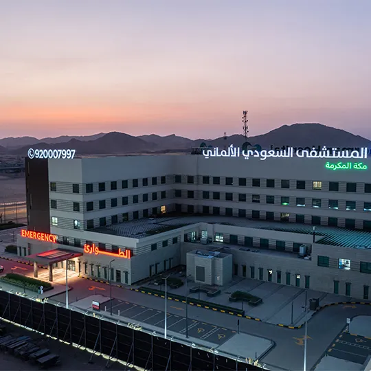 Project Gallery Image