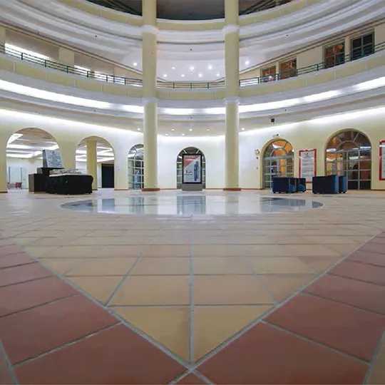 Project Gallery Image