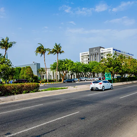 Project Gallery Image