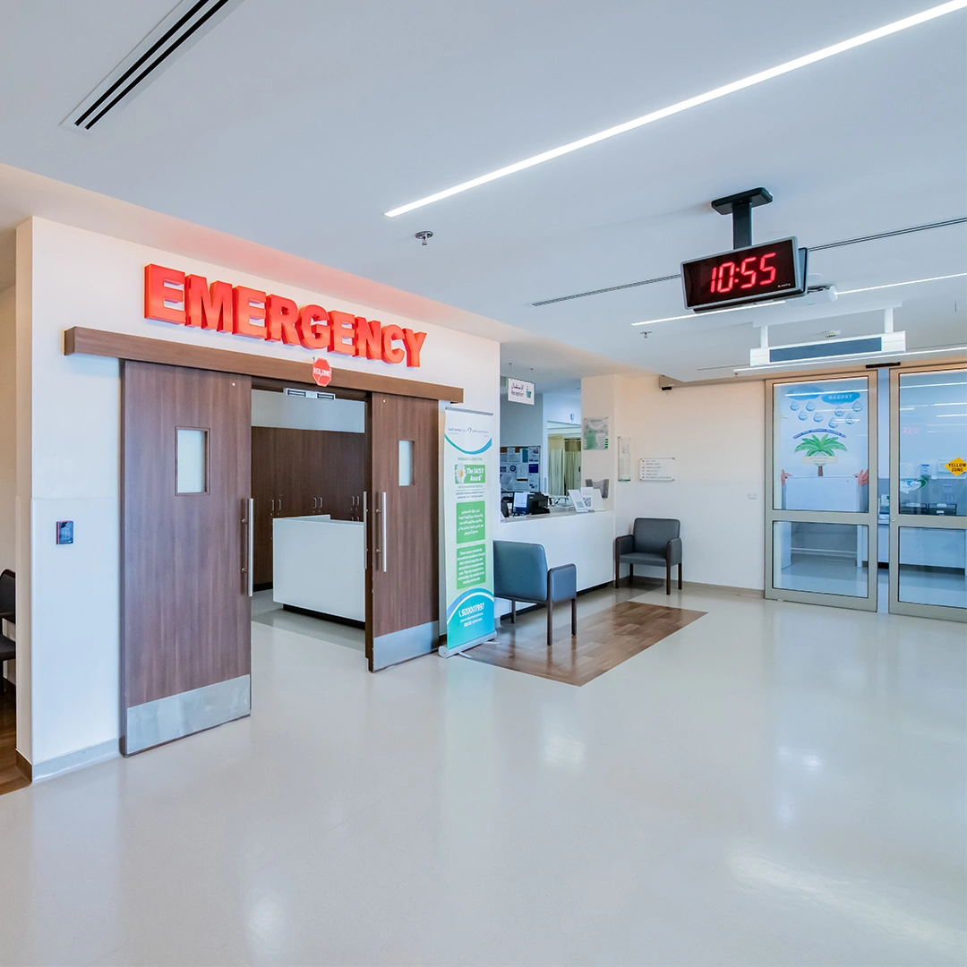 Project Gallery Image