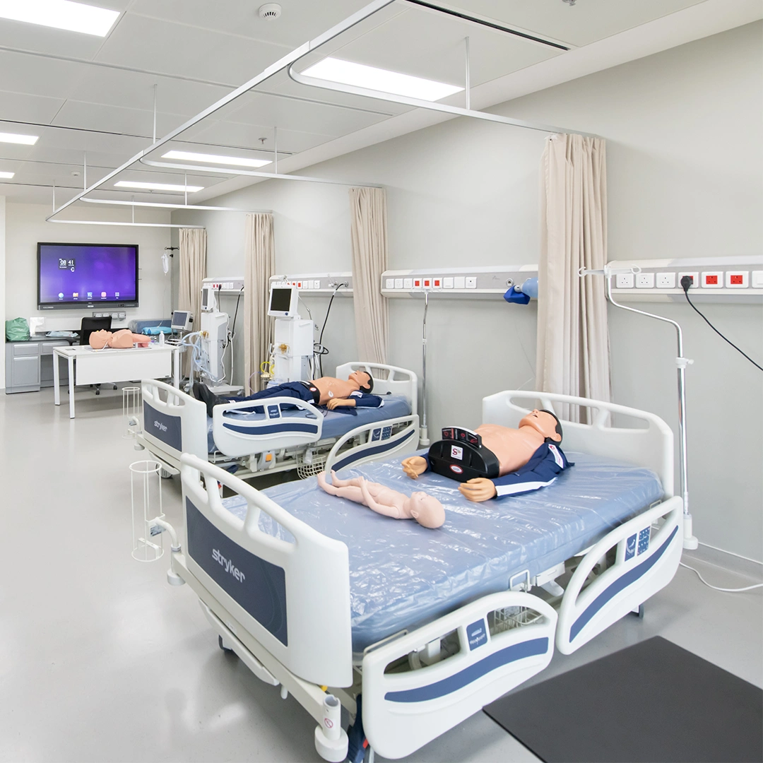 Project Gallery Image