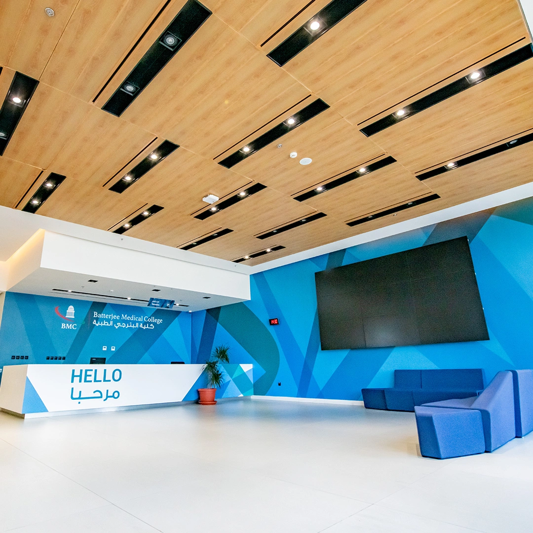 Project Gallery Image