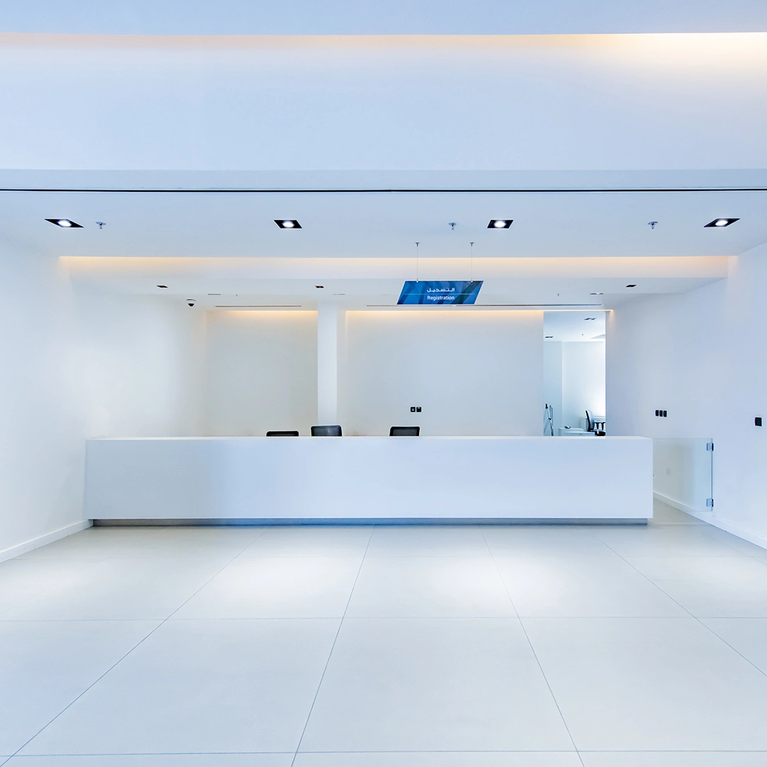 Project Gallery Image