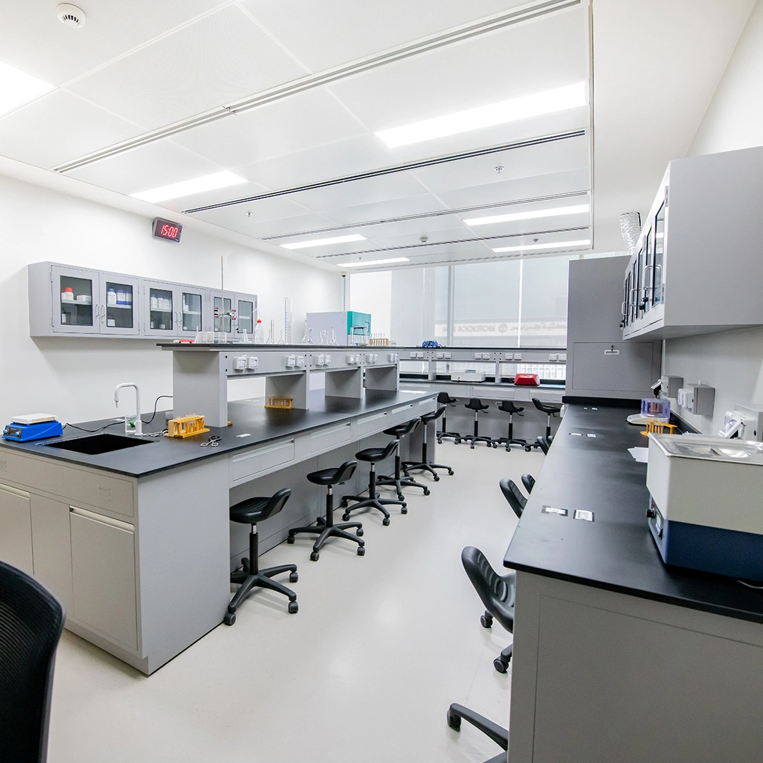 Project Gallery Image