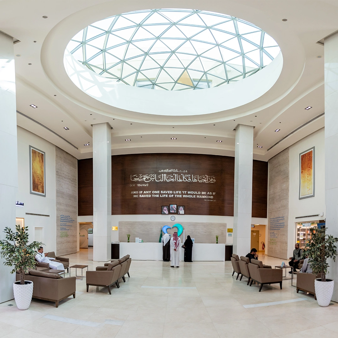 Project Gallery Image