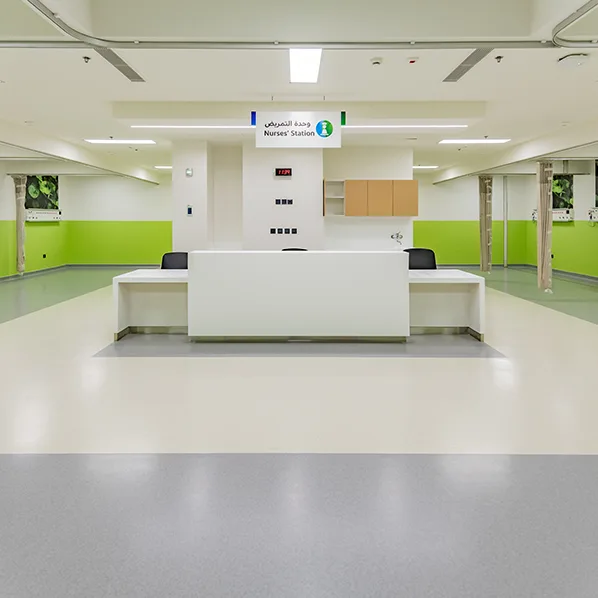 Project Gallery Image