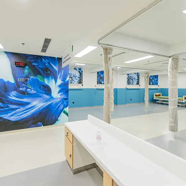 Project Gallery Image